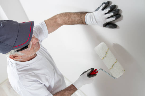 Best Wallpaper Removal and Painting  in Enlow, PA